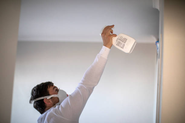 Best Professional Mold Removal  in Sammamish, WA