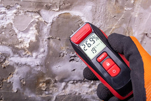 Trusted Sammamish, WA Mold Removal Experts